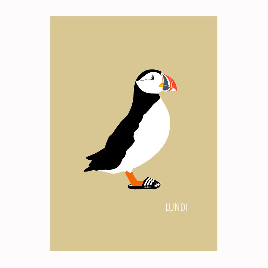 Ef ég væri fugl -Lundi