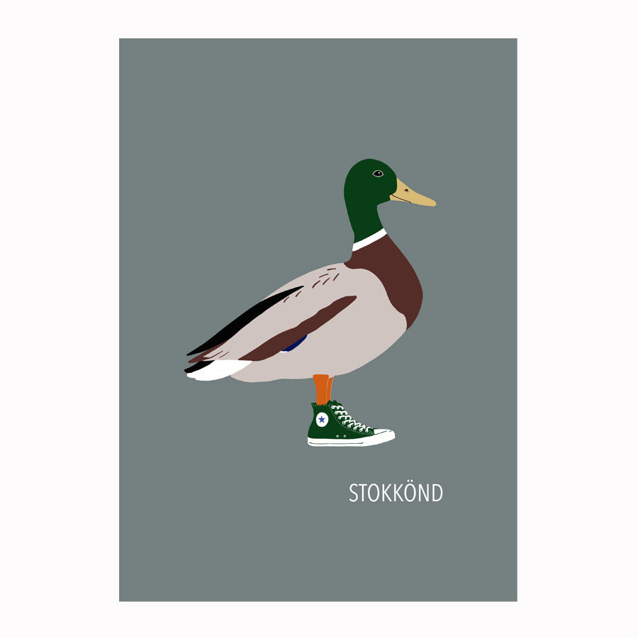 Ef ég væri fugl -Stokkönd