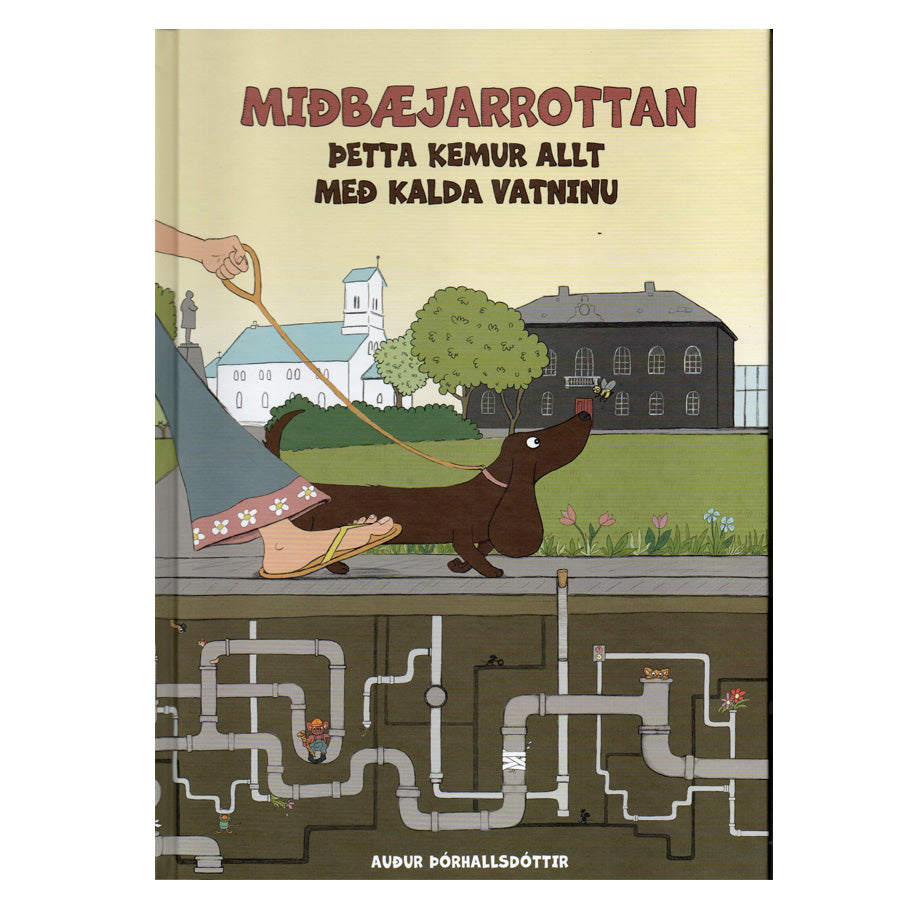 Miðbæjarrottan: Þetta kemur allt með kalda vatninu eftir Auði Þórhallsdóttur
