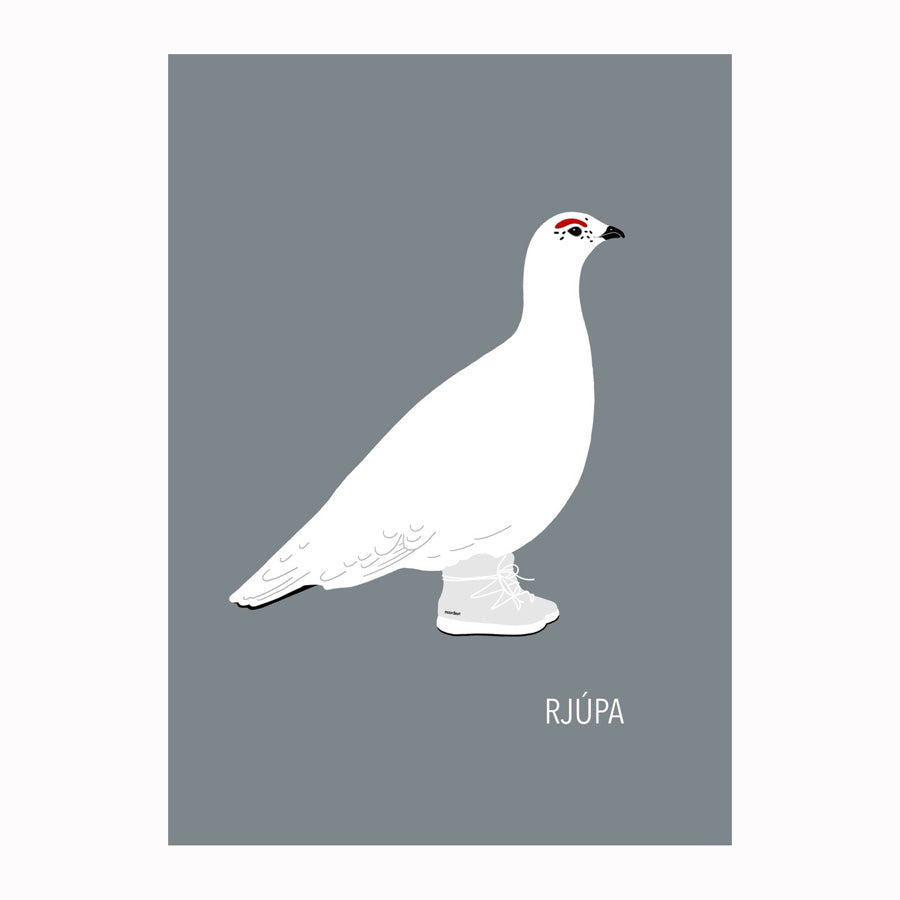 Ef ég væri fugl -Rjúpa