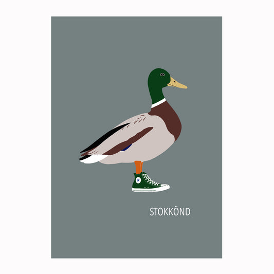 Ef ég væri fugl -Stokkönd