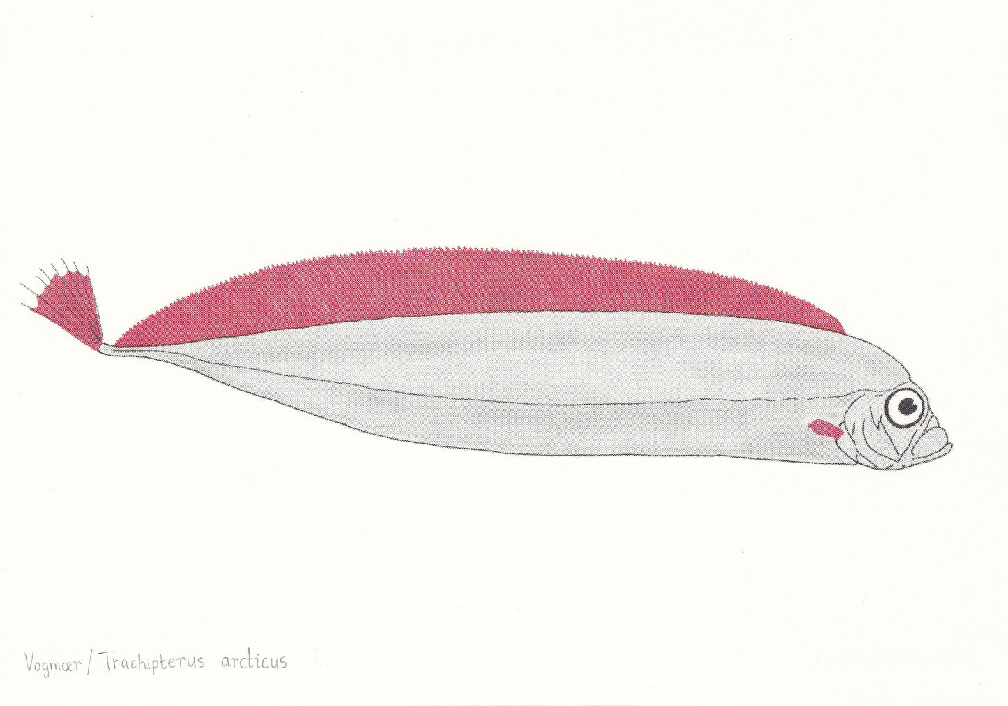 Vogmær. Riso-prent. 2 týpur.