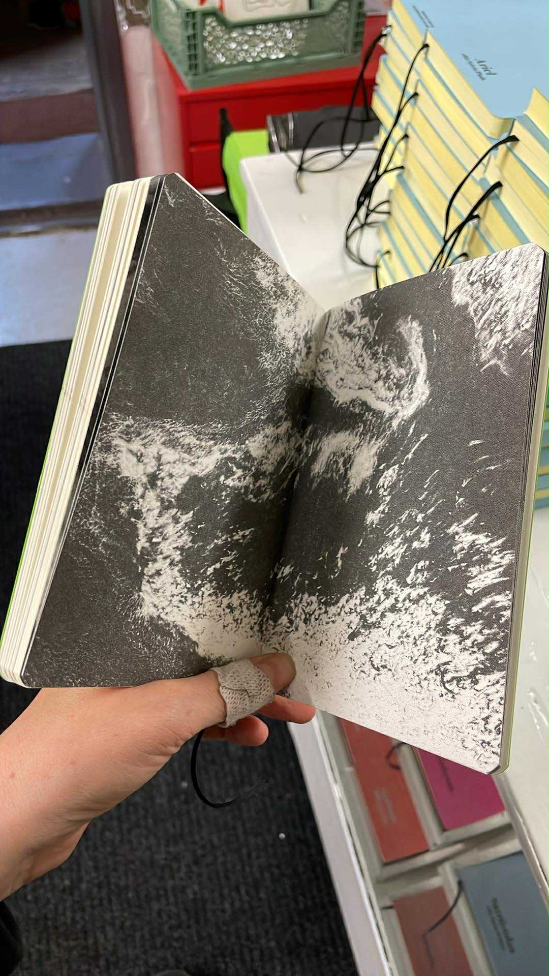 Nautnir eftir Mario Bellatin